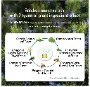 rx_jnn_egf_peptide_made_in_korea_bioeffect_dupe_mercelbay5.webp